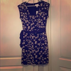NWT Navy and Tan Floral LOFT Dress